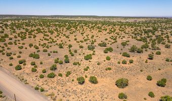 County Road 8643 188, Concho, AZ 85924