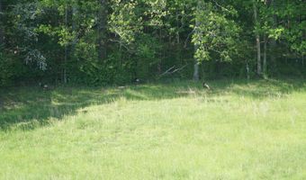 339 MCNUTT Rd, Bear Creek, AL 35543
