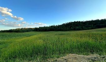 TBD Bear Pen Rd, Arkansaw, WI 54721