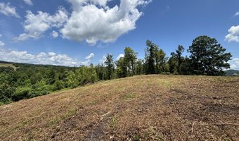 626 Sportsman Ln, Andersonville, TN 37705