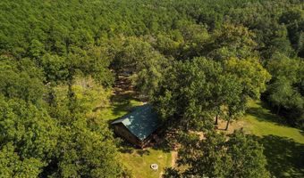 1300 County Road 113, Alton, MO 65606