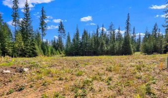 L13B1 Leonard Loop, Athol, ID 83801