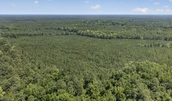82 Acres Point Caswell Rd, Atkinson, NC 28421
