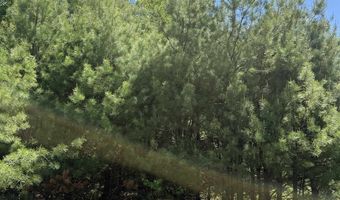 Washington Street lot 33 34 35, Barrington, NH 03825