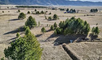 10201 Packsaddle Rd, Cascade, ID 83611