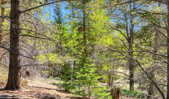 715 Lewsader Rd Lot 0, Alma, CO 80420