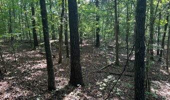 Reeves Road, Ashland, MS 38603