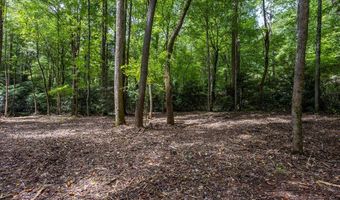 1034 Chestnut Flats Rd, Andrews, NC 28901