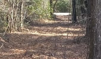 00 Womble Rd Lot 7, Altha, FL 32421