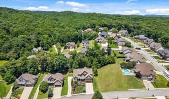 4217 Cripple Bush Ct, Apison, TN 37302