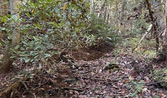 18 6 Acres Cave Branch Rd, Allardt, TN 38504