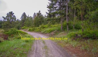 2420 CEDONIA ADDY Rd, Addy, WA 99101