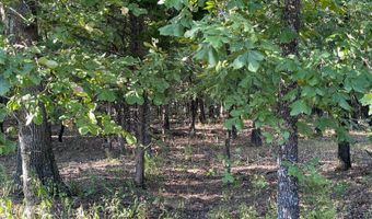Lot 77 Eufaula Lake Drive, McAlester, OK 74501