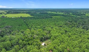 16303 SW 75TH St, Archer, FL 32618