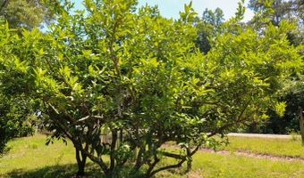 407 Lakeshore Dr, Bainbridge, GA 39819