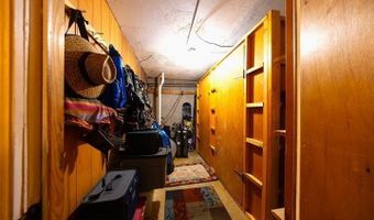209 Deer Path Ln, Almont, CO 81230