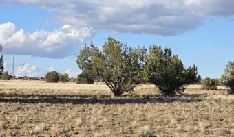 293 294 Arizona Rd, Ash Fork, AZ 86320