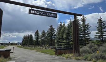 113 Equus Loop, Bellevue, ID 83313