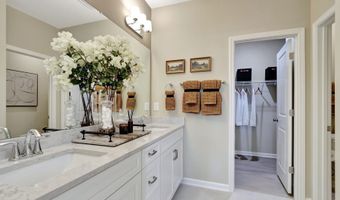 3140 Cathedral Comb Dr, Apex, NC 27502