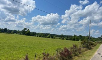 420 Sheffield Rd, Adamsville, TN 38310