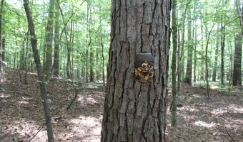 NE Greenhill Trail, Brookhaven, MS 39601