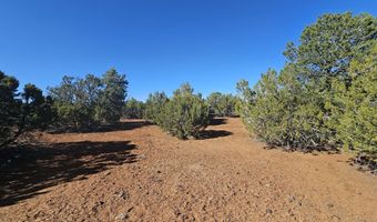 21 Co Rd 8032 # 8032, Concho, AZ 85924