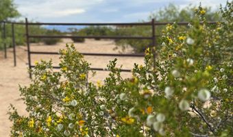 970 Valley Vista Dr, Anthony, NM 88021