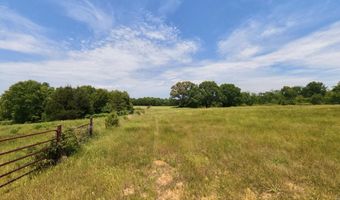 N County Road 113, Alton, MO 65606