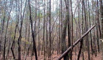 0 VENABLE Rd, Argo, AL 35173