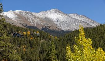 1139 BOREAS PASS Rd, Breckenridge, CO 80424