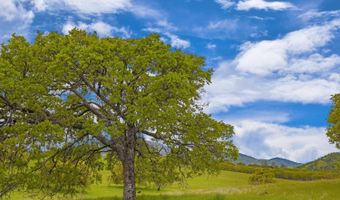 2883 Chinook Way, Arnold, CA 95223