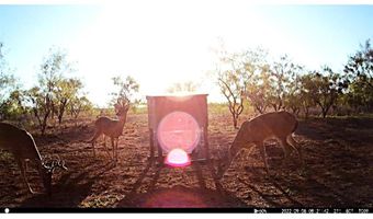 12415 County Road 356, Anson, TX 79501