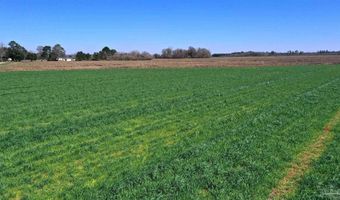 Lot 16 Davis Pond Rd, Atmore, AL 36502