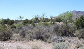 BEAN CREEK Road, Abiquiu, NM 87510