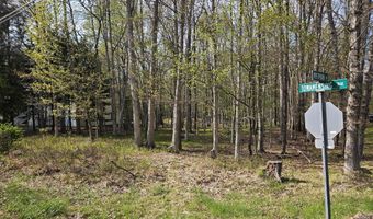 Towamensing Trail & Whitman Lane, Albrightsville, PA 18210