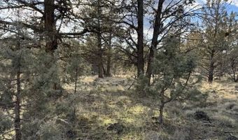 Canvasback Dr, Bonanza, OR 97623