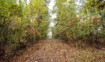 2421 Moorison Loop, Anderson, MO 64831