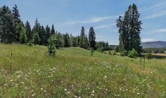 NNA Guthrie Way, Bonners Ferry, ID 83805