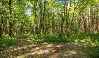 9545 Redman Rd, Alden, NY 14735