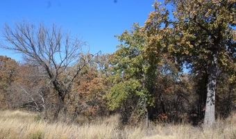 450 Rolling Hills Blvd, Alvord, TX 76225