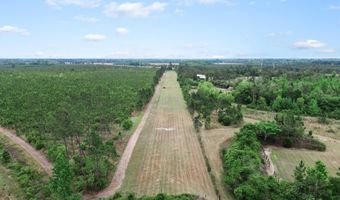 17668 Flatwoods Rd, Altha, FL 32421