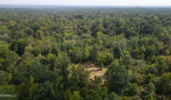 2233 Holloman Rd, Bentonia, MS 39040