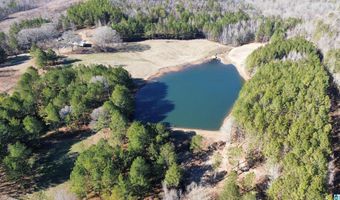 46088 HIGHWAY 77 Lot 0, Ashland, AL 36251