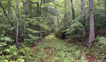 Tdb Cove Creek Rd, Bastian, VA 24314