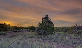 111 Juniper, Alpine, TX 79830