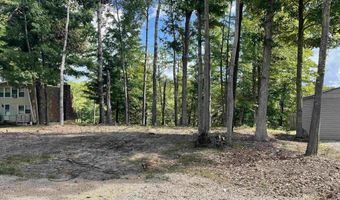 S Forest Lake Drive, Alger, MI 48610