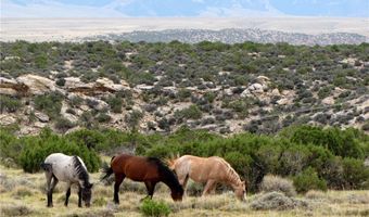 nhn Deadman Creek Road lot 7, Bridger, MT 59014
