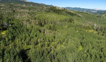 1833 W Buttermilk Rd, Aspen, CO 81611