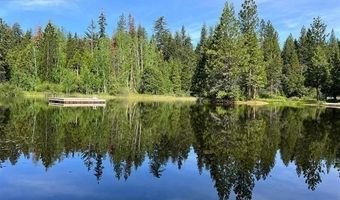 3805 The Jug Handle, Arnold, CA 95223