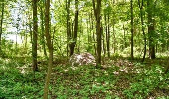 2905 N Lake Pleasant Rd, Arcadia, MI 48412